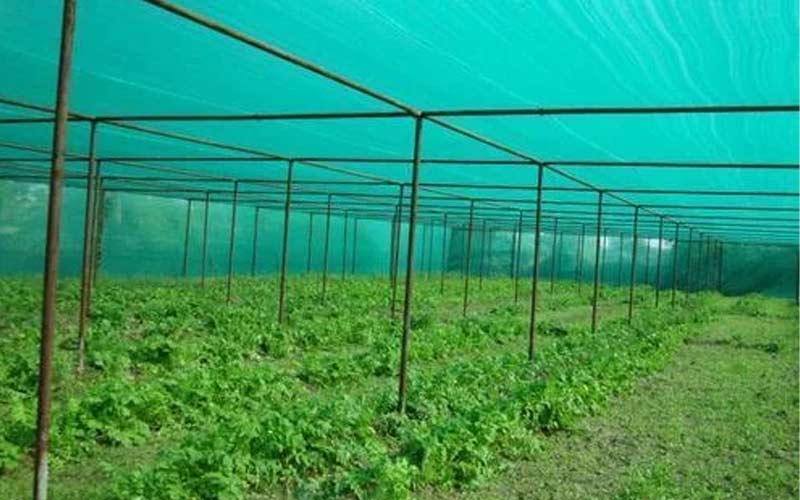 Farm Shade Nets