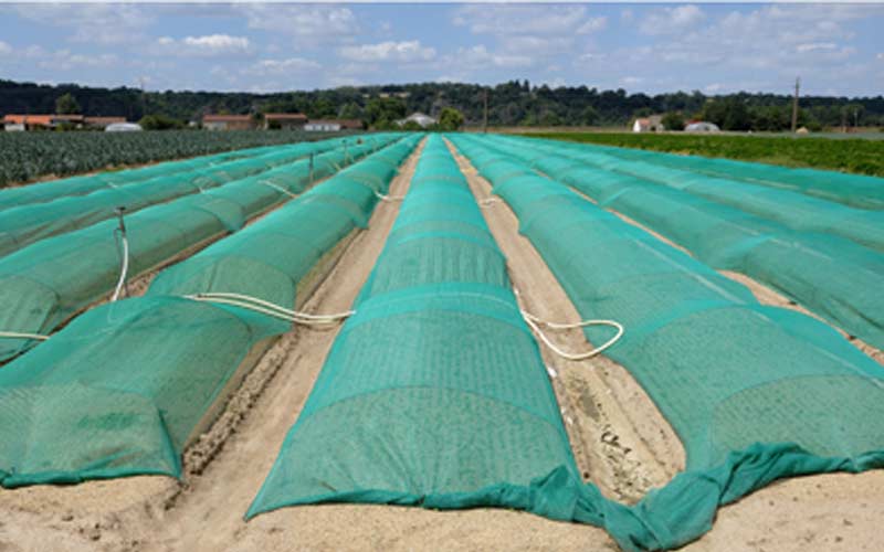 HDPE Agro Shade Net